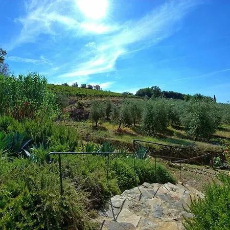 Casa Maria Luisa By Posarellivillas San Gusme