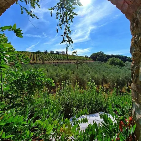Ferienhaus Casa Maria Luisa By Posarellivillas San Gusme